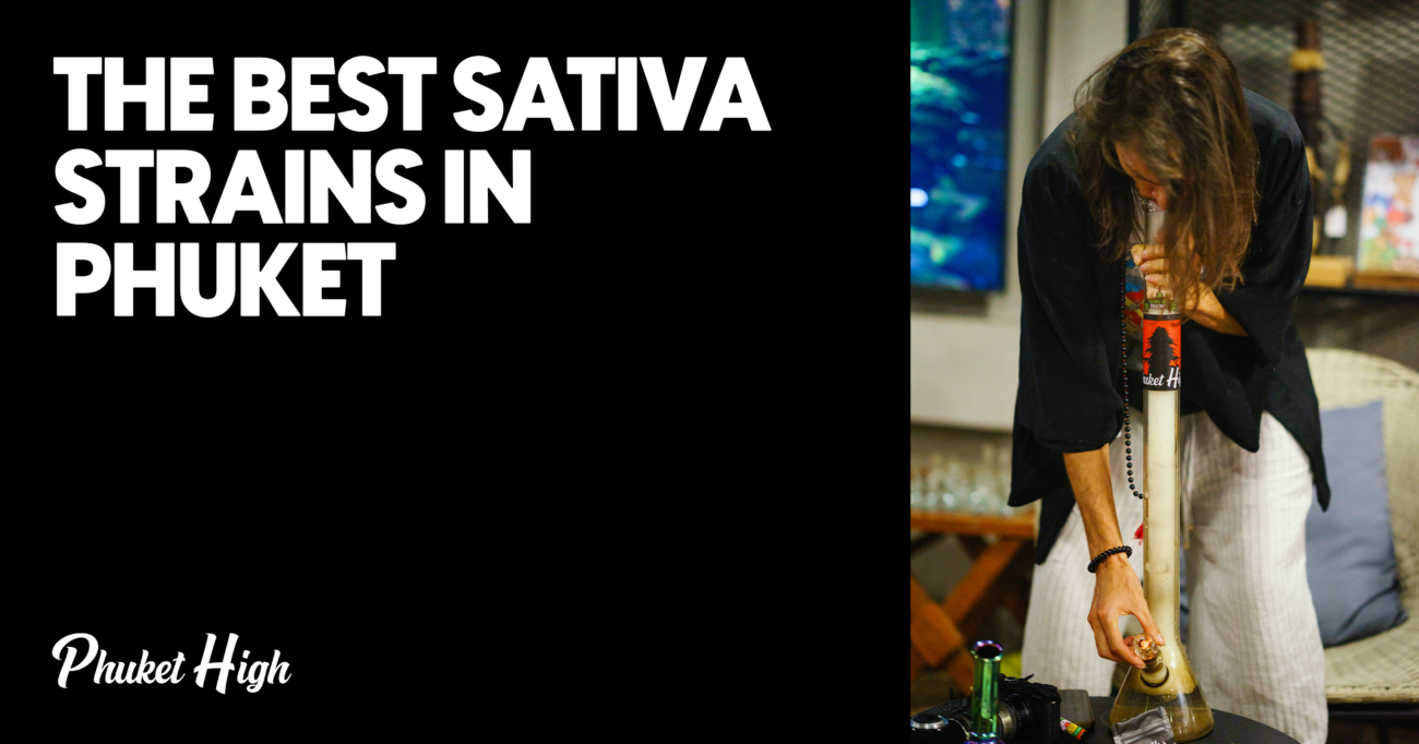 The Best Sativa Strains in Phuket