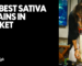 The Best Sativa Strains in Phuket