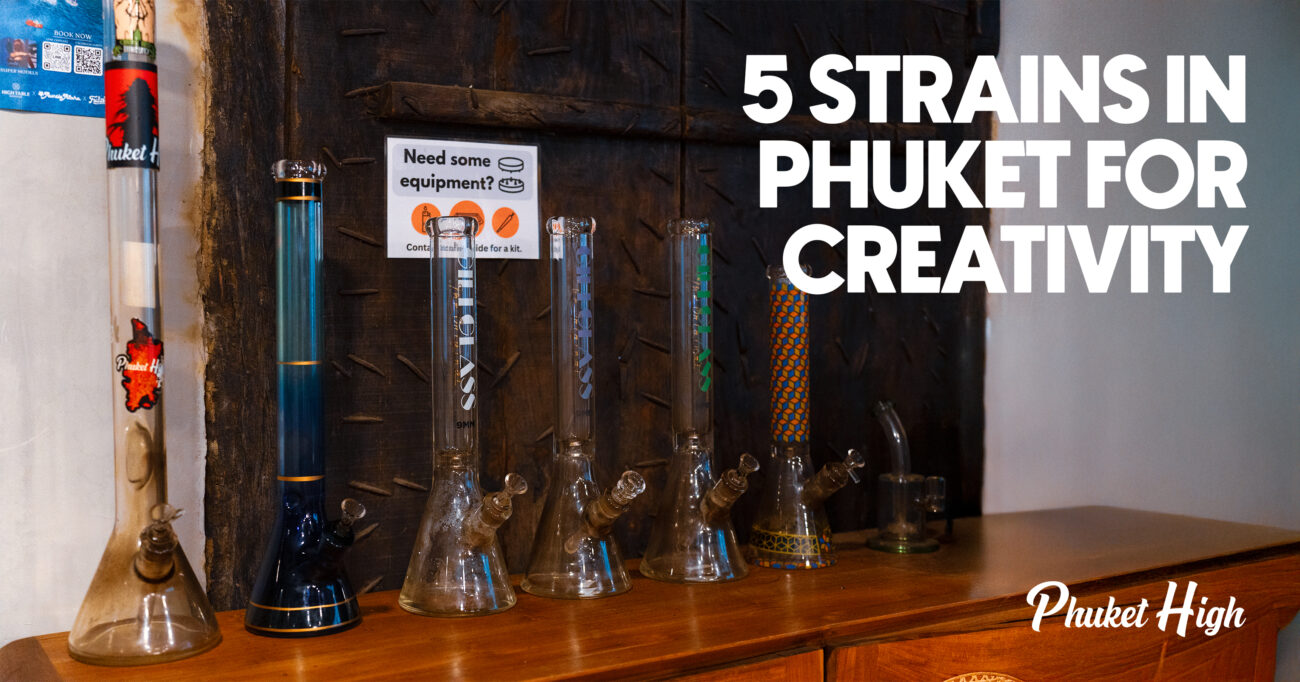 Top 5 strains in phuket for creativity