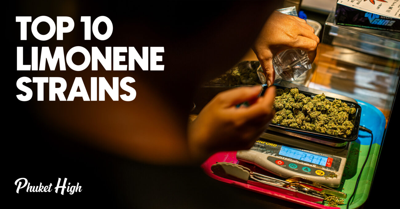 Top 10 Limonene Strains