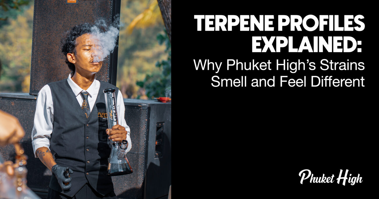 How Terpene Profiles Affect your High