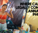 Where Can You Legally Consume Cannabis in Phuket