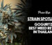 Gogurts Weed review in Thailand