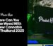 Where Can You Smoke Weed in Phuket with the new Cannabis laws in Thailand 2025
