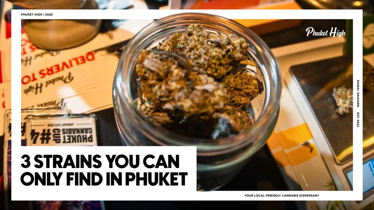 3 Elite Strains You Can Only Find in Phuket