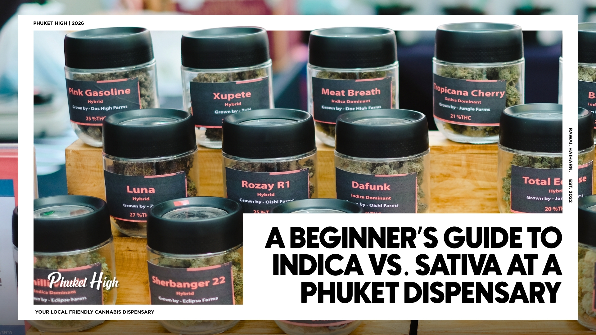 What's The Differences Between Mascotte Originals, Hemp, and Brown?