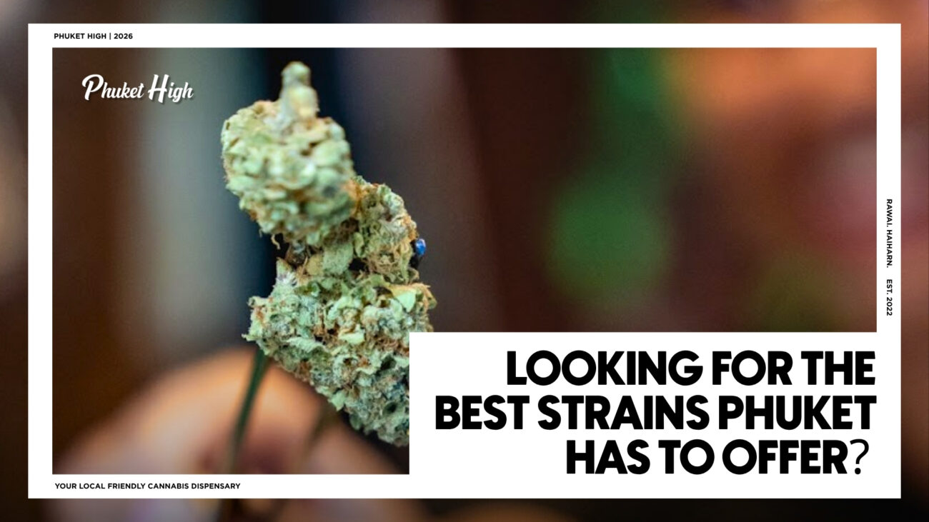 Close-up of premium cannabis buds alongside the text "Looking for the best strains Phuket has to offer?" by Phuket High dispensary.