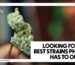 Close-up of premium cannabis buds alongside the text "Looking for the best strains Phuket has to offer?" by Phuket High dispensary.