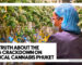 The Truth About the 2026 Crackdown on Medical Cannabis Phuket