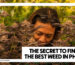 A person with sunglasses resting on their head closely inspecting frosty, purple-hued cannabis plants in a lush indoor grow room. The image serves as a promotional graphic for Phuket High, featuring the bold text overlay: "The Secret to Finding the Best Weed in Phuket."