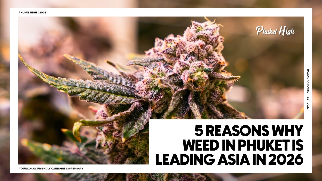 Close-up of a frosty purple cannabis bud beside the blog title "5 Reasons Why Weed in Phuket Is Leading Asia in 2026."