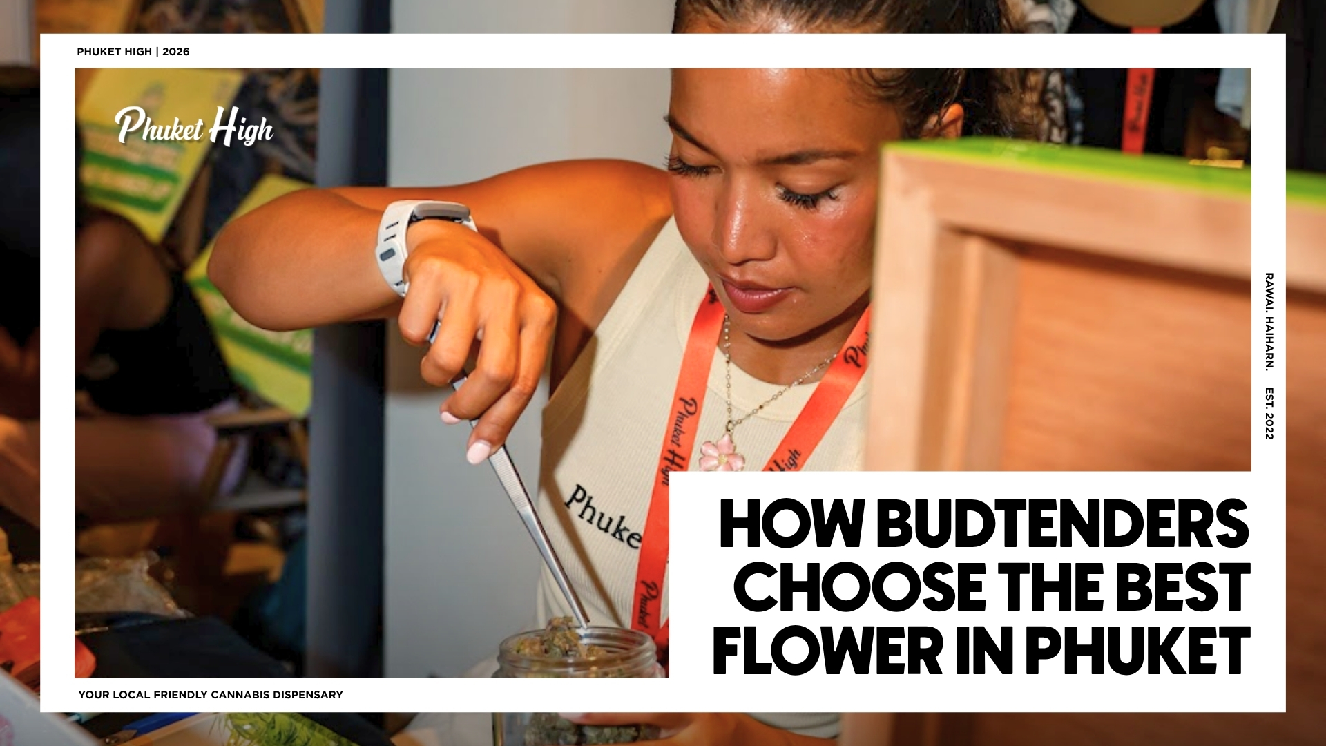 HOW BUDTENDERS CHOOSE THE BEST WEED IN PHUKET - A female budtender wearing a Phuket High lanyard uses metal tongs to carefully select cannabis flower from a glass jar.